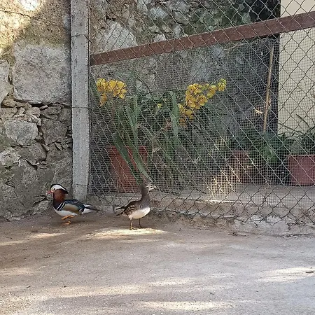 Casa De Santa Luzia B * 卡米尼亚