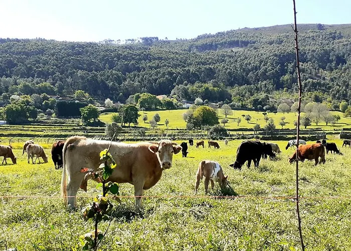 Casa De Santa Luzia B Caminha