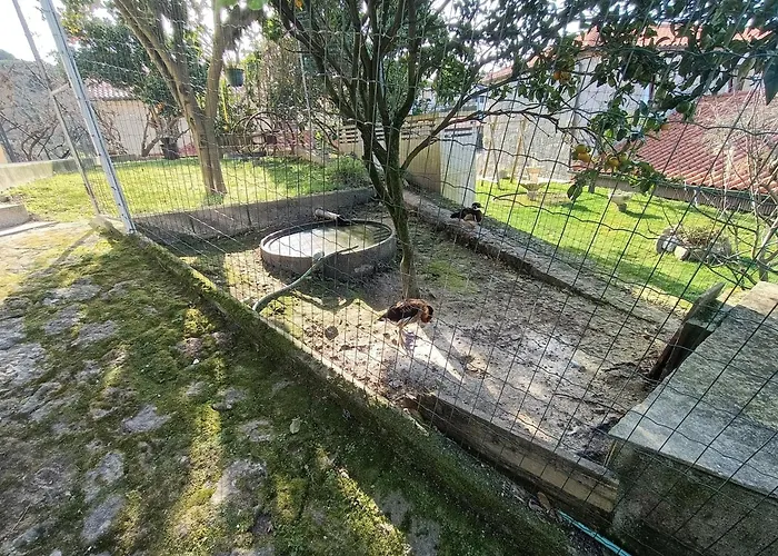 Σπίτι διακοπών Casa De Santa Luzia B Caminha