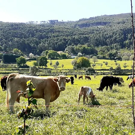 Casa De Santa Luzia B Caminha