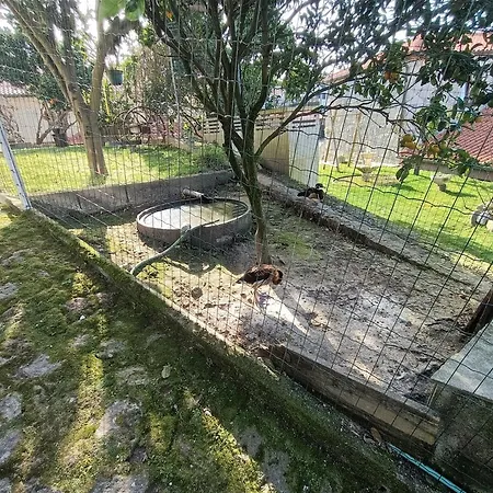 בית נופש Casa De Santa Luzia B קמיניה