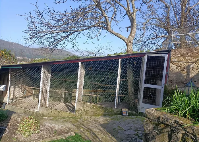 Casa De Santa Luzia B Tatil Evi Caminha