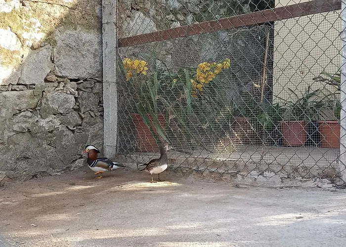 Casa De Santa Luzia B * Caminha